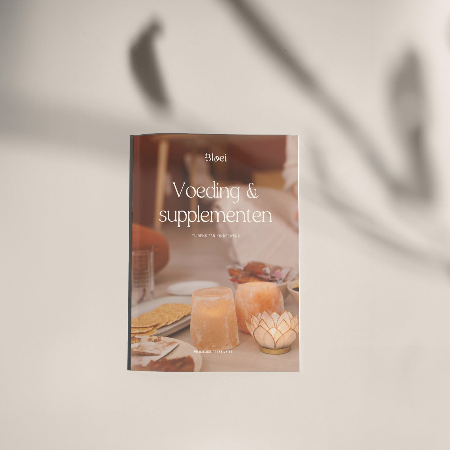 grafische vormgeving mooi creatieve studio